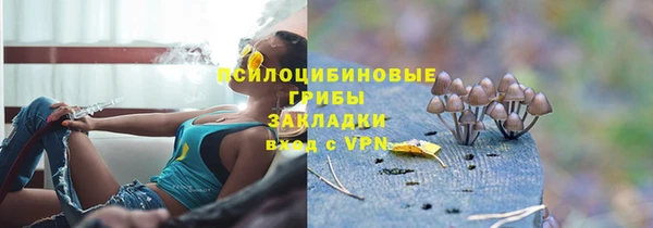 a pvp Арсеньев